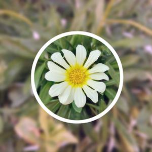 女人网:私人诊所医患淫乱事、故事、小说
